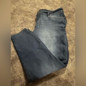 TORRID Classic Blue Denim Jeggings